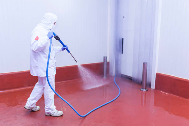 Best Solar Panel Cleaning  in Ligonier, IN