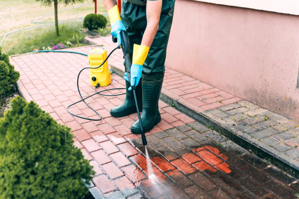 Best Building Exterior Washing  in Ligonier, IN