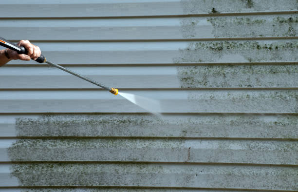 Best Gutter Cleaning  in Ligonier, IN